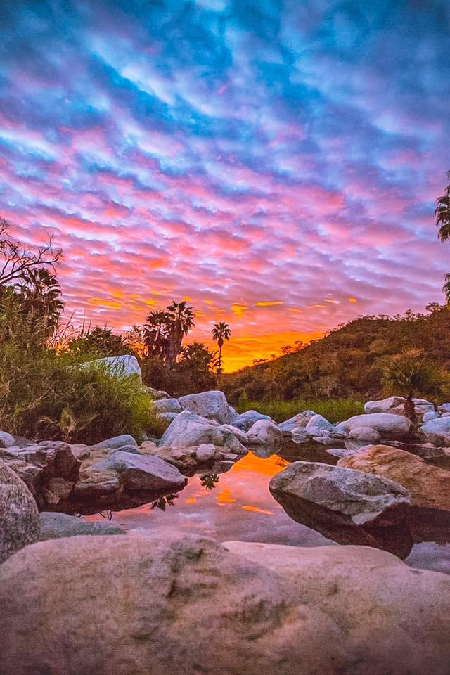 The Sierra de la Laguna is a paradise for nature lovers. There are different activities available to visitors, including camping, hiking, cycling and horseback riding. 🌴🏔
#BajaSur #LosCabos