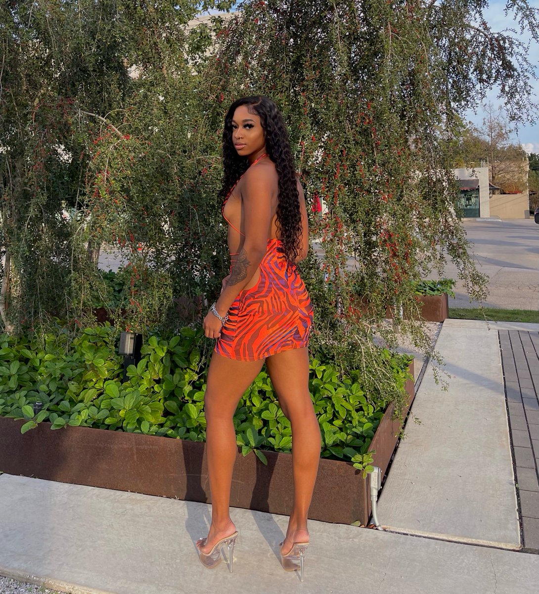 sierralynnae's tweet photo. petite but you know my name hold weight 🧡🐅 https://t.co/UMet5iYIgX