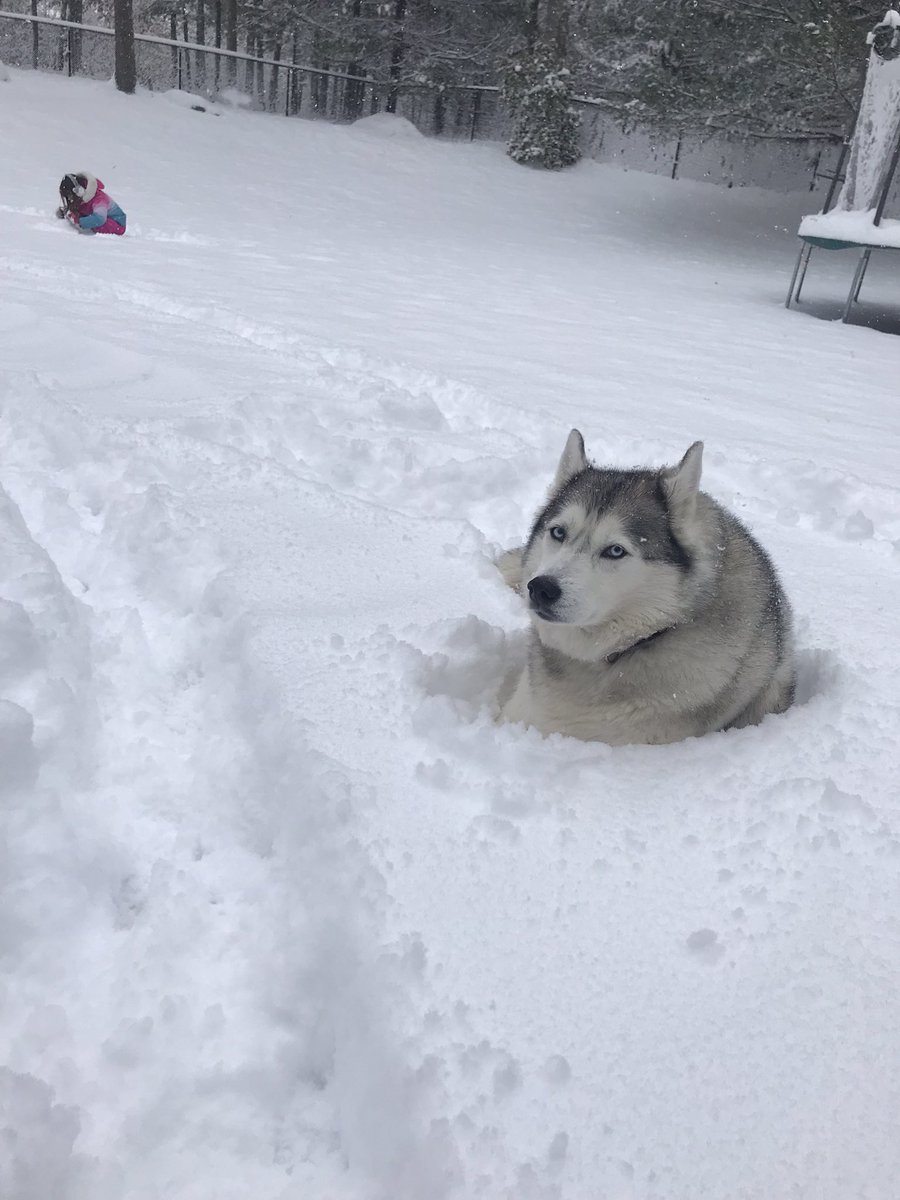 RoseanneGraber's tweet photo. @wbz @sarahwroblewski Snow day https://t.co/wISRoACKVV