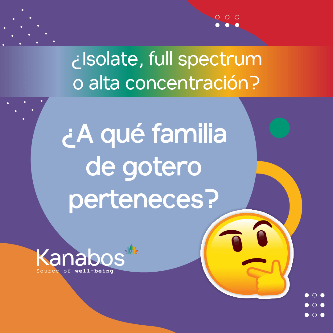 KaNaBoSmX's tweet photo. 😍¿No sabes cuál gotero llevarte?

🤩Aquí te damos un refresh para que lo tengas el que necesites.

#isolatecbd #goteroscbd #hemp #relajación #medicinanatural https://t.co/WAy8VFdBbw
