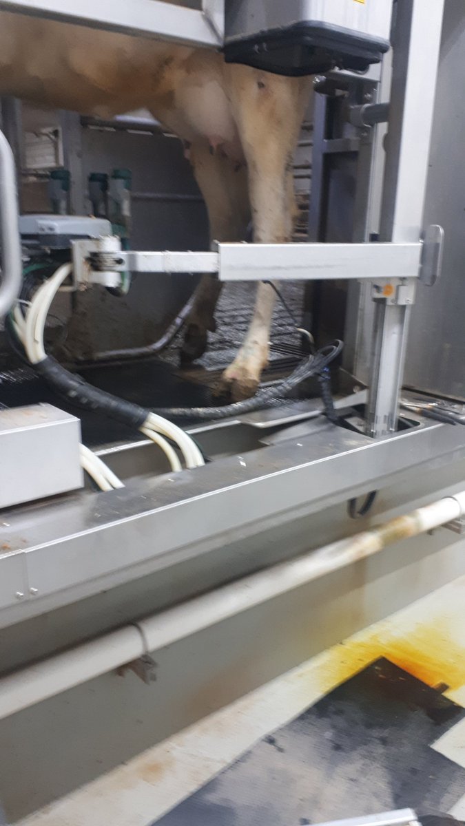 DanenJack's tweet photo. Must be a Friday night...pullback cable broken, and teat spray just blew a fitting ๐คฆโโ๏ธ...but luckily I have parts in stock๐#fixitmyself https://t.co/zIEinjYjNj