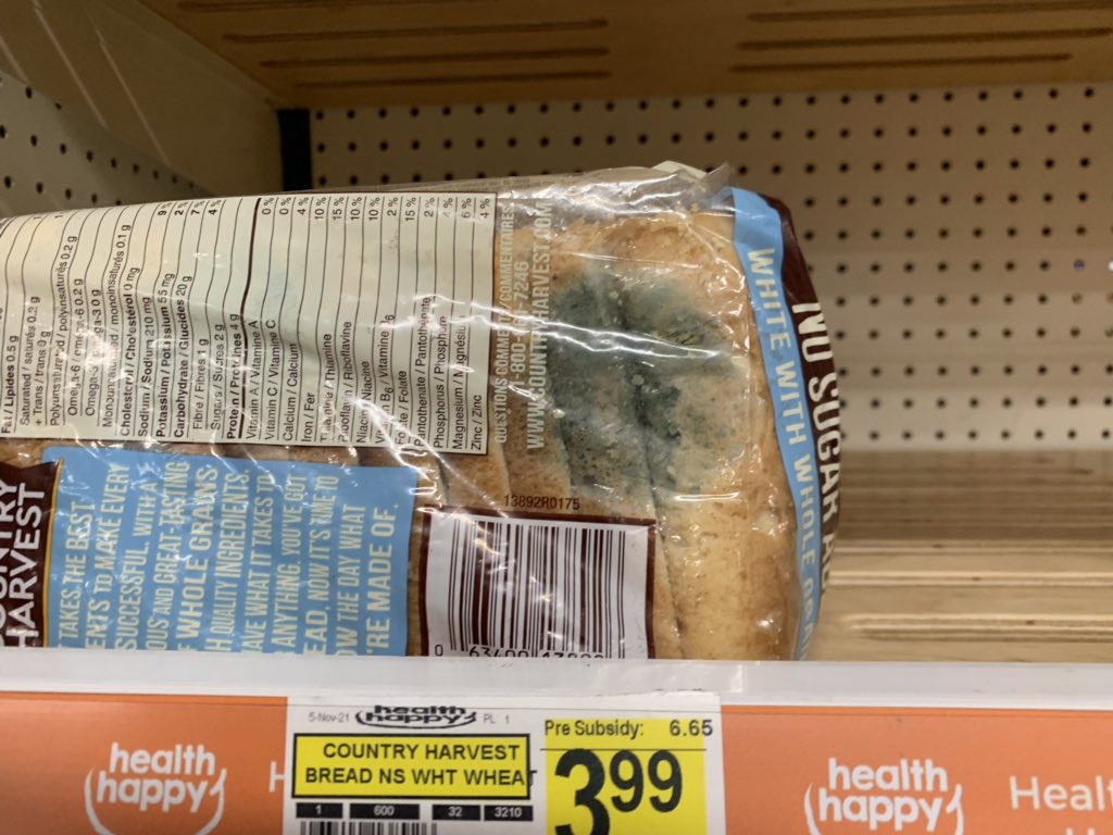 ShaneConrad13's tweet photo. No bread at the Northern store, ilaa there’s one loaf with mold https://t.co/ipydhuzpIc