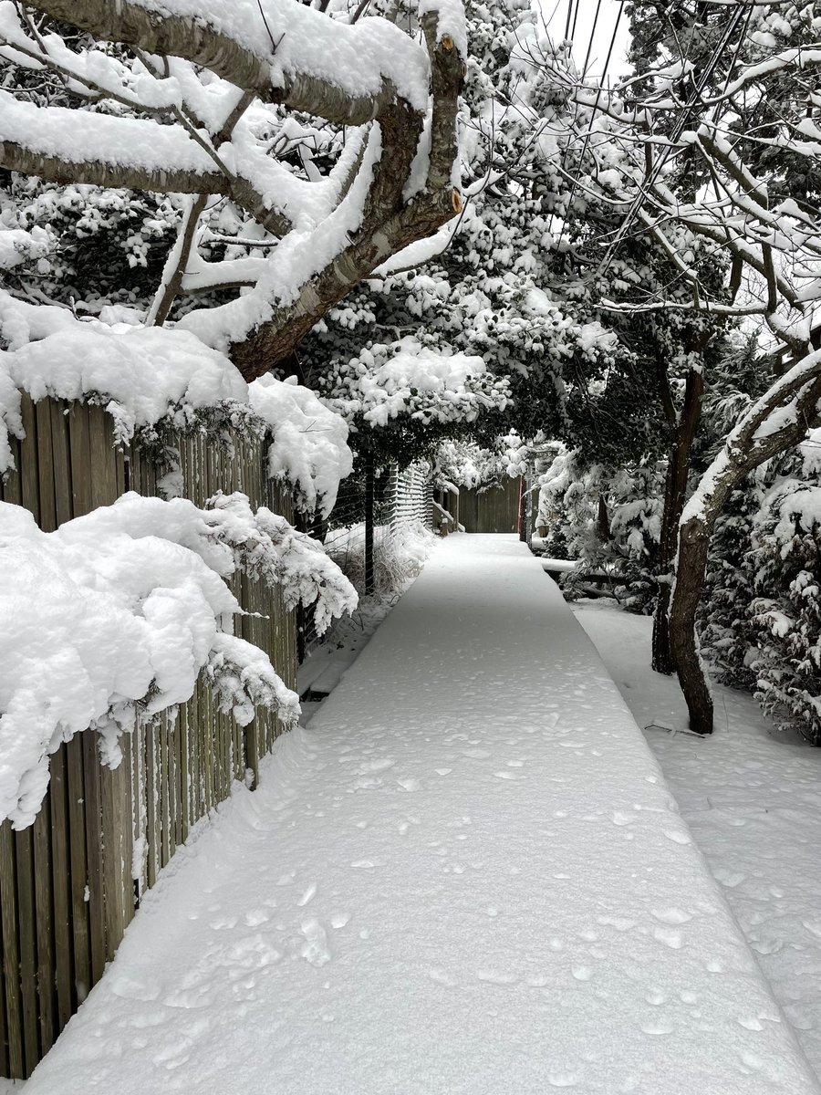 Fire Island snow report https://t.co/H3xSHGG4ae