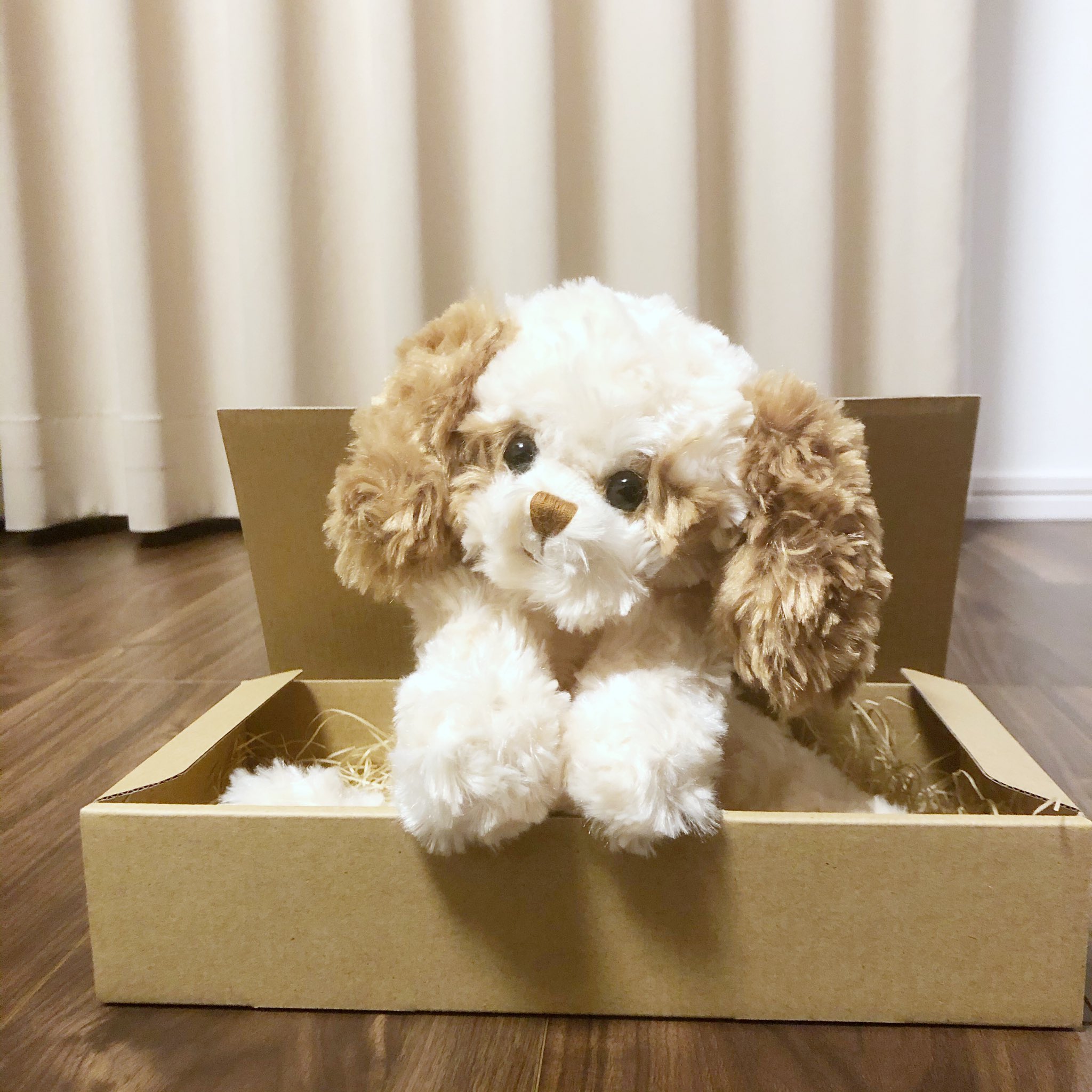 【新品】 ブコウスキー　くったり脱力犬　Tiffany Dog　Bukowski 新品】 ブコウスキー くったり脱力犬 Tiffany Dog Bukowski