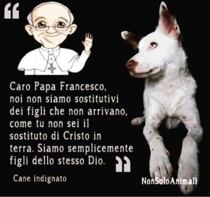 nebbiafatata's tweet photo. https://t.co/GZse1ldLJ0