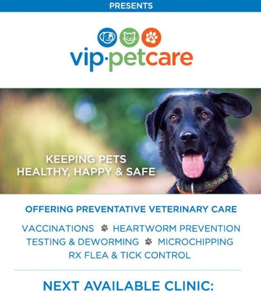 psp9024's tweet image. Next Clinic is this Sunday at the Albany Pet Supplies Plus!! January 9th, 1-2:30pm. No pre-registration needed! Just come at 1! #pspAlbany #VIPpetCare #pspAlbany
