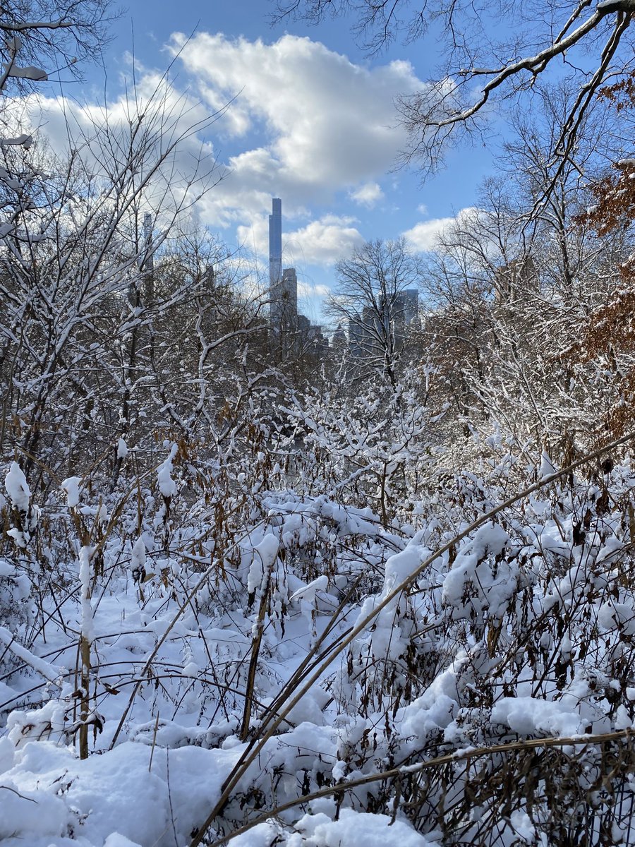 Fidgef2's tweet photo. Central Park this morning 1/7/22 #Centralpark #snowfall #new york,⁦@CentralParkNYC⁩ https://t.co/HiKzWqGGJH