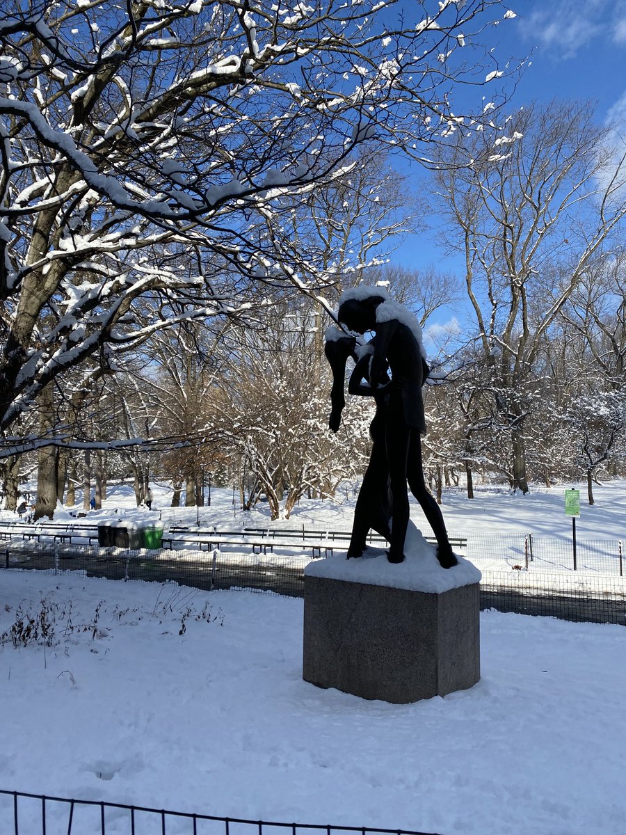 Fidgef2's tweet photo. Central Park this morning 1/7/22 #Centralpark #snowfall #new york,⁦@CentralParkNYC⁩ https://t.co/HiKzWqGGJH