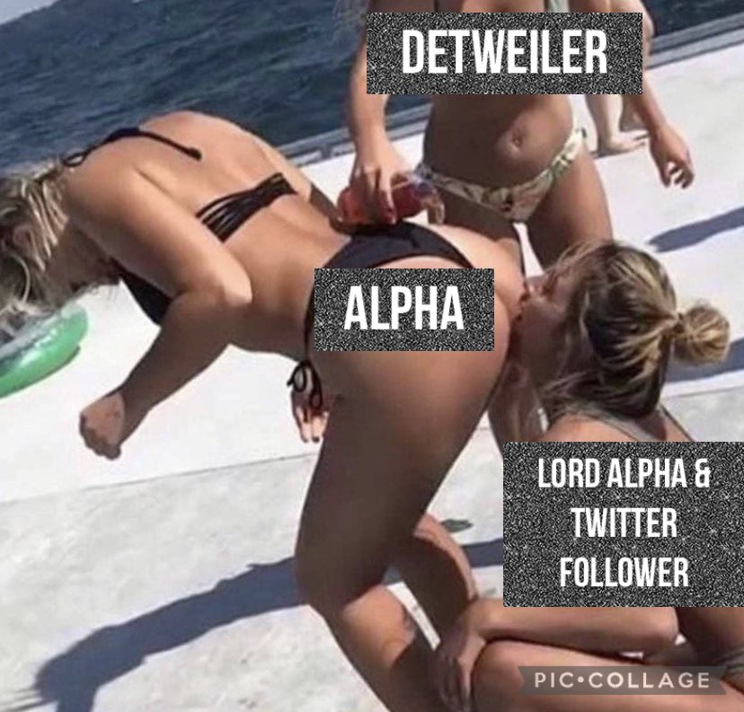 alphamissimo's tweet photo. @cryptodetweiler https://t.co/iGAIUqGOFs