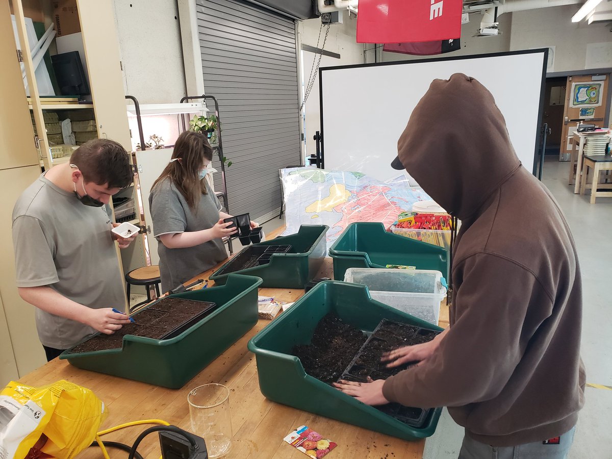 Students spent this week learning about plant reproduction. Today they tried their hands at planting seeds both in soil and rockwool cubes for hydroponics. #horticulture #learnbydoing #handsonlearningfun @A31CareerCenter @Area31Hort