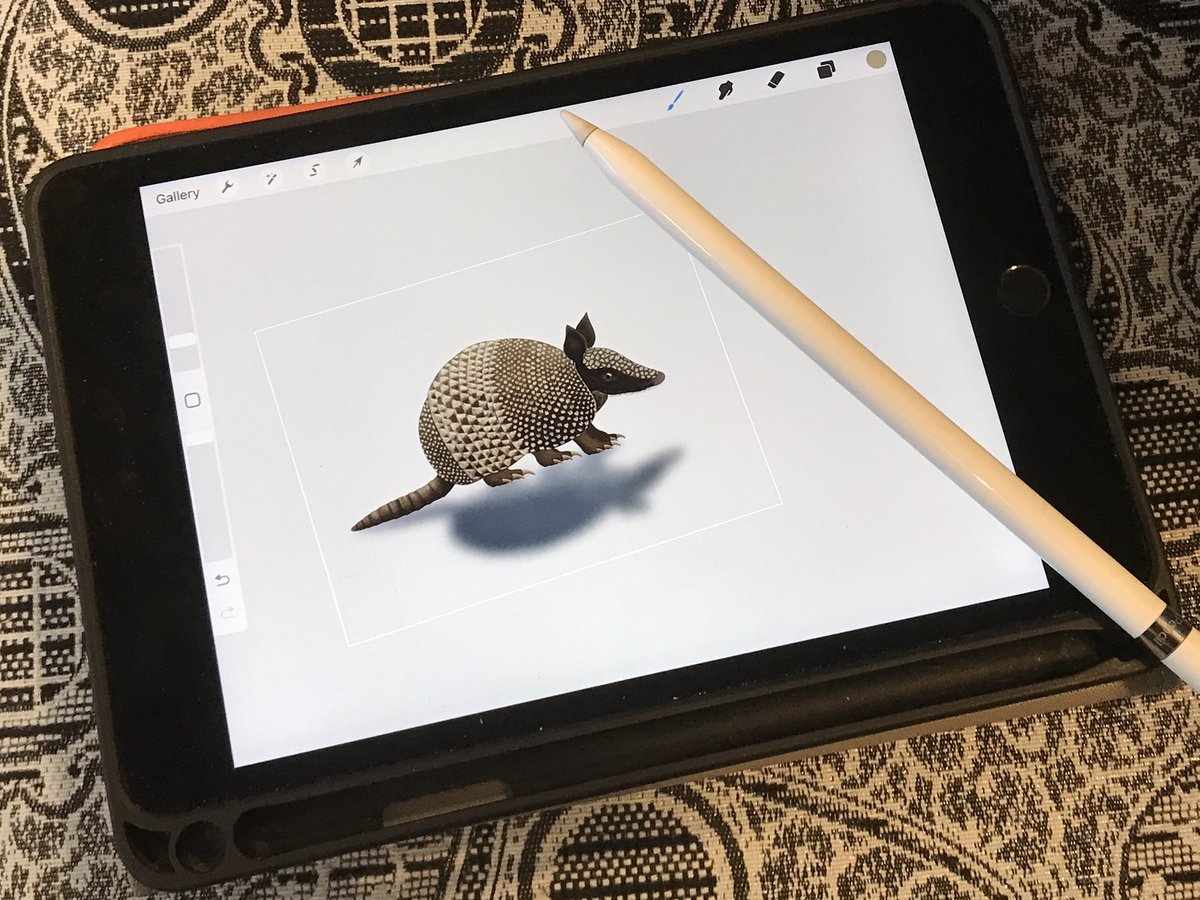 Mrs_Pritchard_'s tweet photo. Sketching a wee Armadillo in @Procreate for the #2022CreativityChallenge this week - prompt word is #Protect.
Using Gaussian blur to create shadows and editing brushes to get the right textures. Every week is a fabulous learning curve. @2022WCC https://t.co/gmuP5ZPWjq