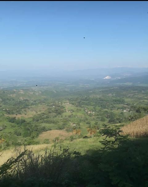 LuqueOmaira's tweet photo. Heyyy 📣 hermosa vista panorámica de mi campo...
Tomada desde lo más altoooo...
#Bitubu
#Trujillo
#MiCampo https://t.co/JqzxtWw63S