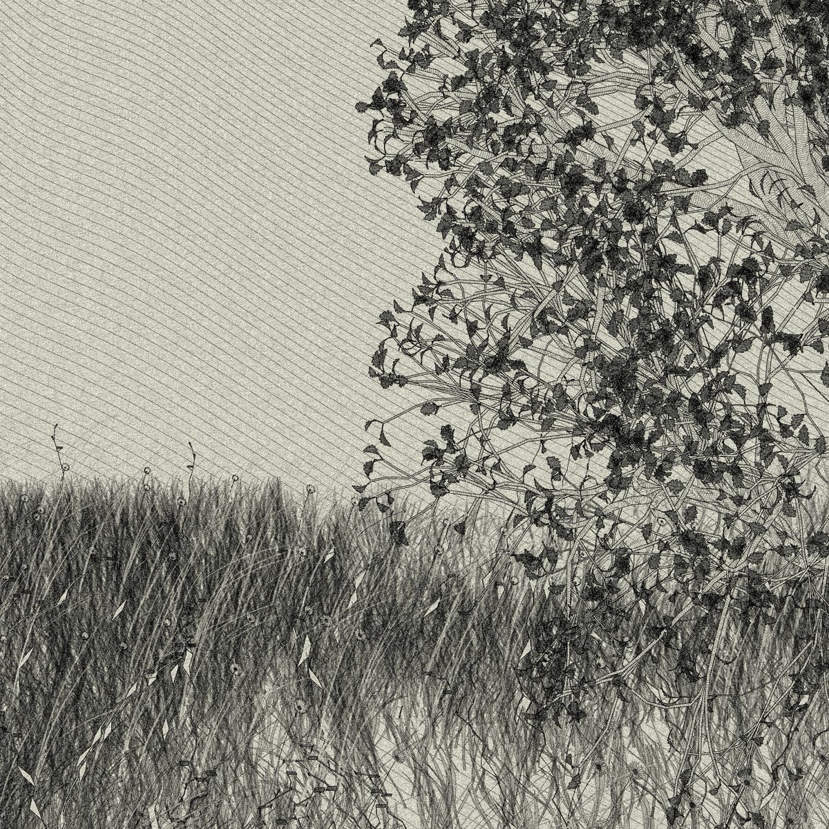 zancan's tweet photo. Felt like experimenting with a grainy mood. 🌑

#generativeart #javascript https://t.co/IoYxCx2rN9