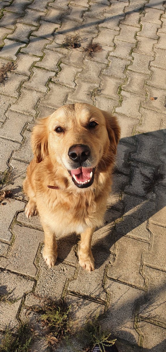 Efekann (@atahantahsiner) on Twitter photo 