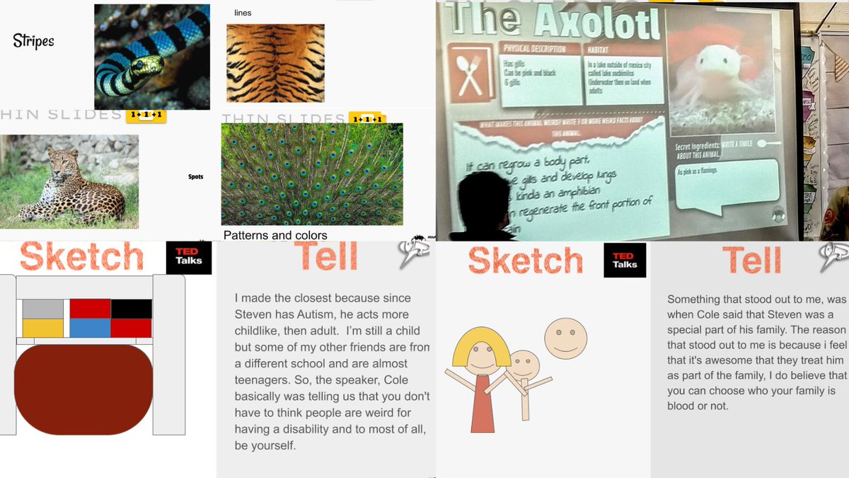 Even with half my class out, we had a super fun SMART REBOOT week! We ended today with our daily #mathreps, #thinslide looking at patterns in nature, #sketchandtell alongside a #tedtalk and a weird animals #ironchef (thank you @mrsjamiehalsey!) @jcorippo @KVoge71 @NowaTechie