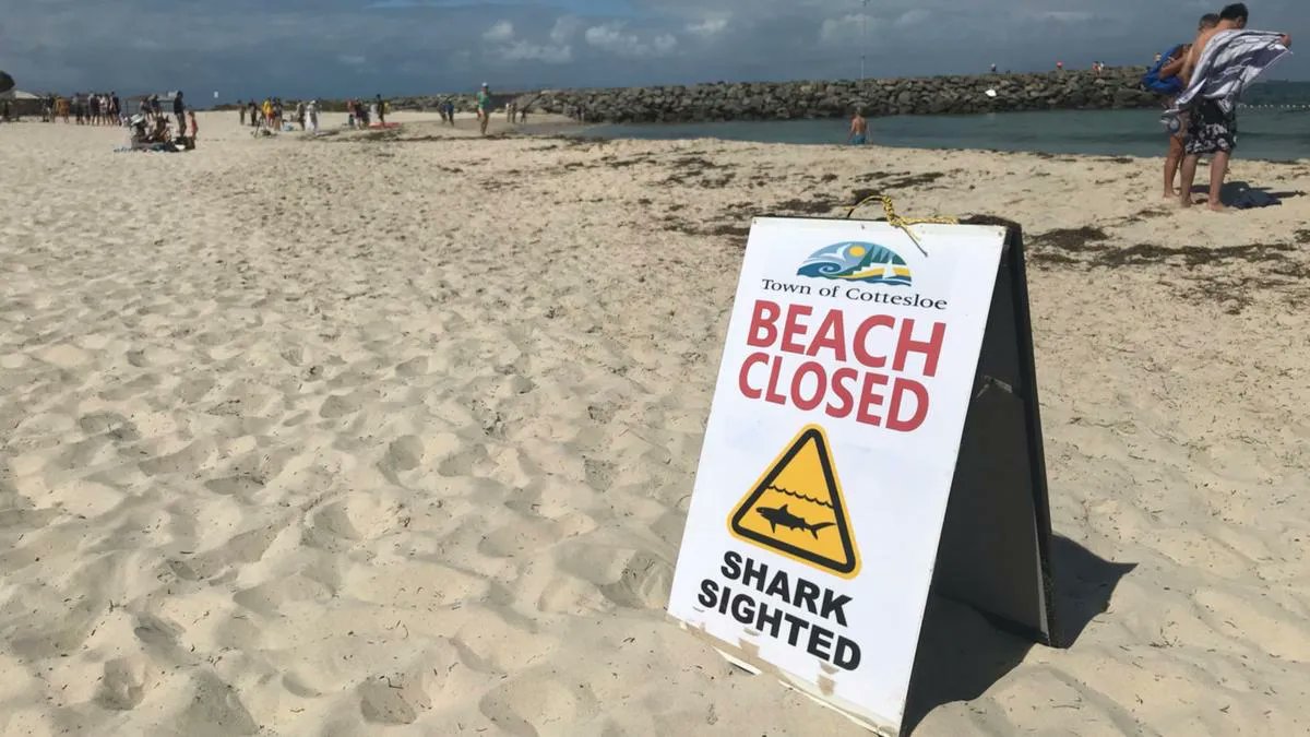 Swimmers have been warned to exit the water at three popular Perth beaches after a shark was spotted in the area. bit.ly/3f3N3SQ #wanews