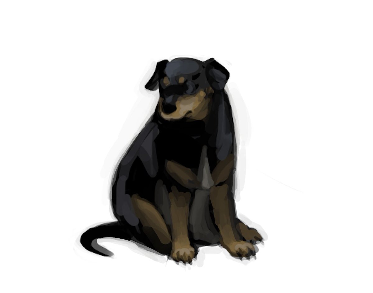 🦴day four