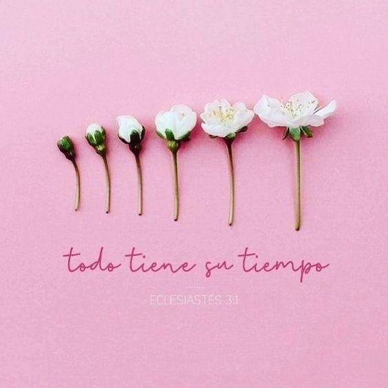 #todotienesutiempo 🌹