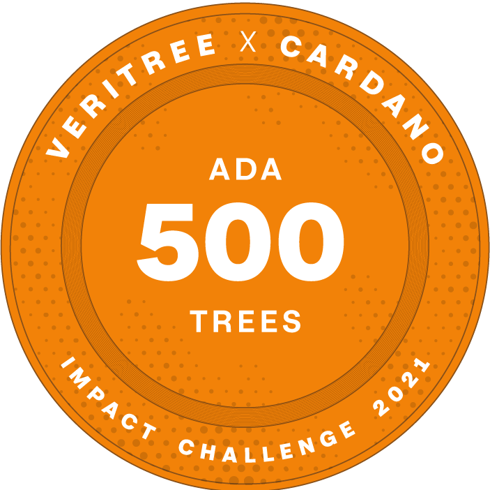 EyeOfTheKing 🔱 tweet media