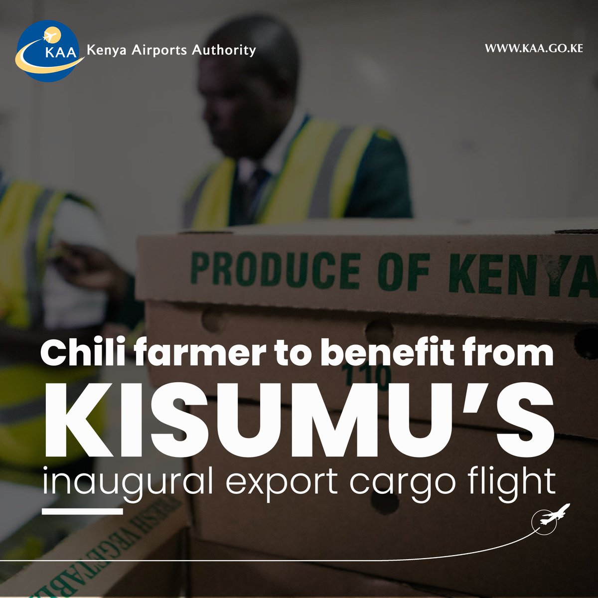 KenyaAirports's tweet photo. Balminder Sokhi - A large-scale green chili farmer in Siaya, is set to benefit from today's inaugural @KenyaAirways cargo export flight from Kisumu Intl. Airport.
#GoFreshGoGlobal #OpeningOpportunities
Cc:
@fpc_kenya
@PortCityKisumu https://t.co/TkB9oDnPti