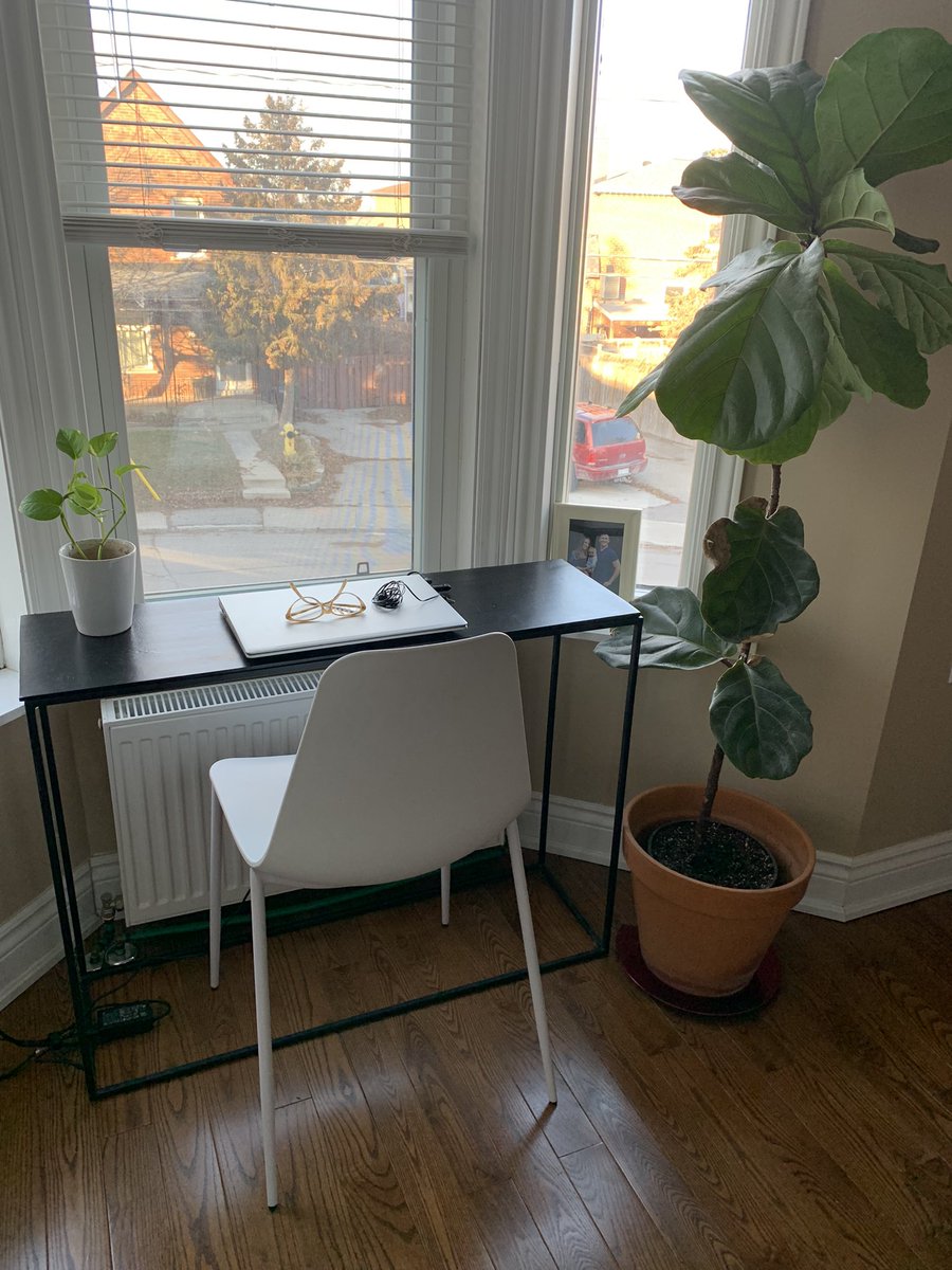 NatalieJoyDavey's tweet photo. A desk. A chair. A plant. It begins. #writing #narrativelearning #reframe https://t.co/eNFSBNKbzy