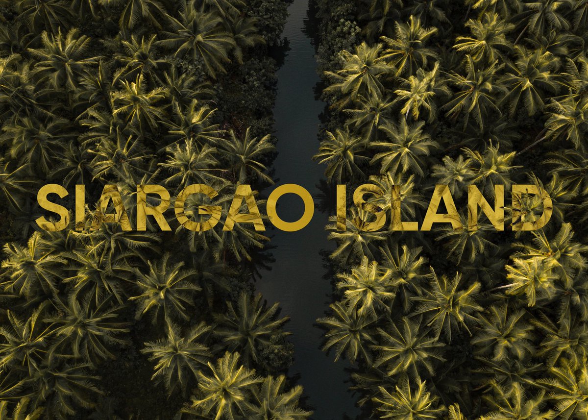 I’ve been thinking this collection for some time, but it isn’t about me, it’s about the people of Siargao Island. 

I will be minting my first collection and donating 100% of the profits to Typhoon Odette relief efforts in the Philippines, specifically the island of Siargao

2/5