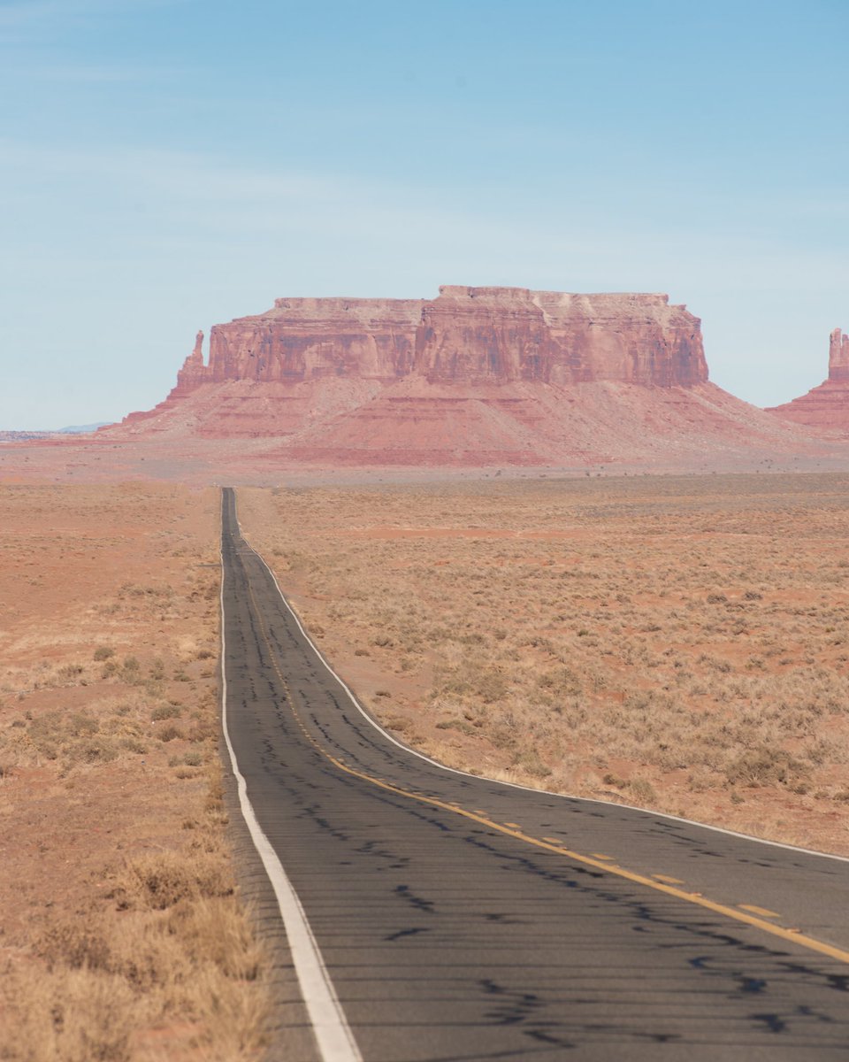 minizmal tweet media