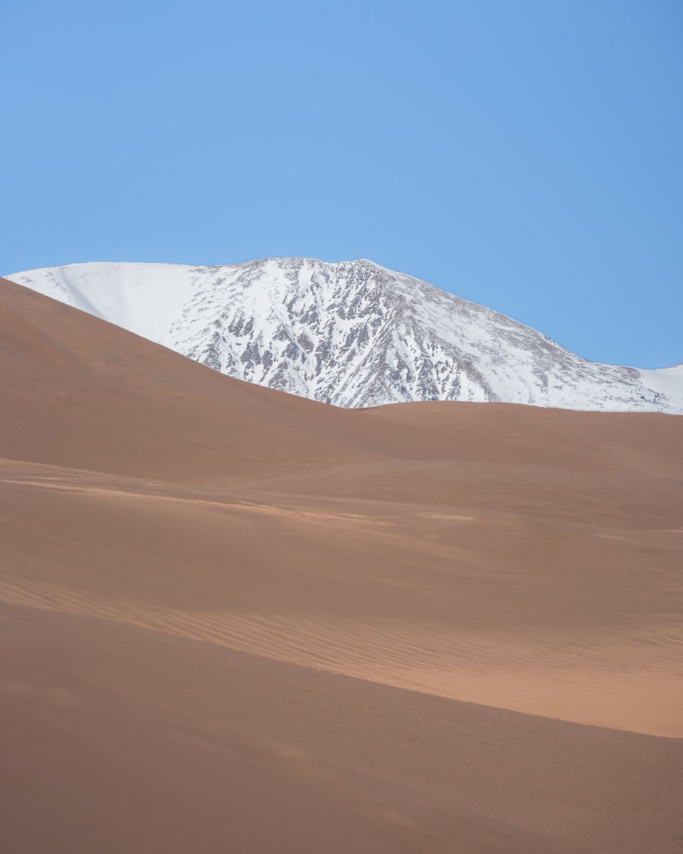 minizmal tweet media