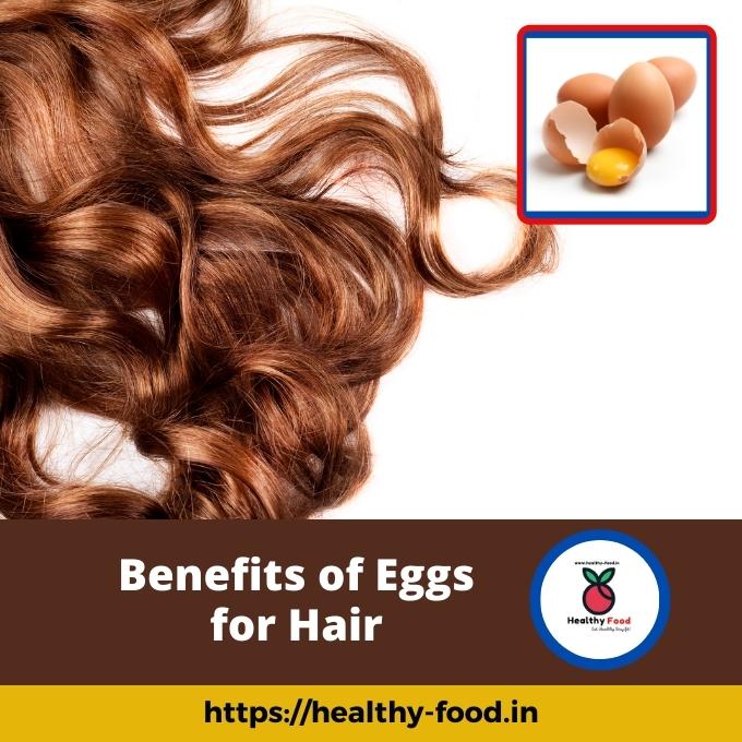 Author_Ranjan's tweet photo. Are eggs good for your hair? 10 Benefits of Eggs for Hair
https://t.co/A2CczC5wCd

#eggs #protein #Tips #hair #hairlove #HairTwitter #benefits #recipes #nutrition #beauty #beautiful #naturalhair #NaturalBeauty #natural #healthylifestyle #HealthyLiving #Trending #TrendingNow https://t.co/8uuk5o7HhB