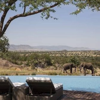 knowtztours's tweet photo. With a New year spirit, Serengeti is still waiting for you patiently to explore its beauty

 #travelbloggerlife #swedengirl #traveltheworld #kijijichamama #braziltravel #royaltourtanzania #blacktravelmovement #switzerlandtrip #honeymoon #zanzibarbeach #Norwaytravel #steveharvey https://t.co/14NZhTVVlM