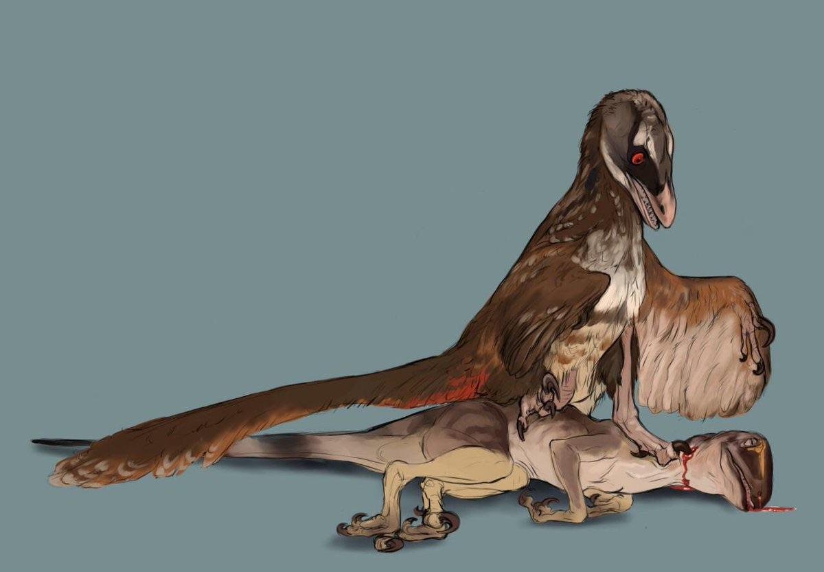 ryanpendzik2's tweet image. f you awesomebro clowns