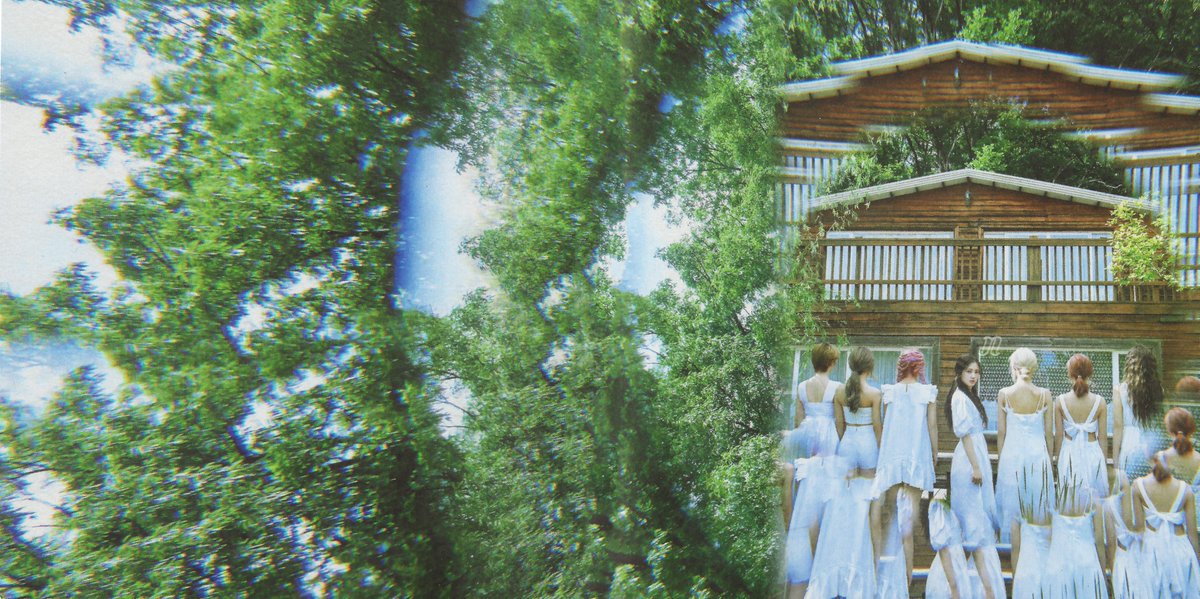 nature scans #RICARICA tweet media