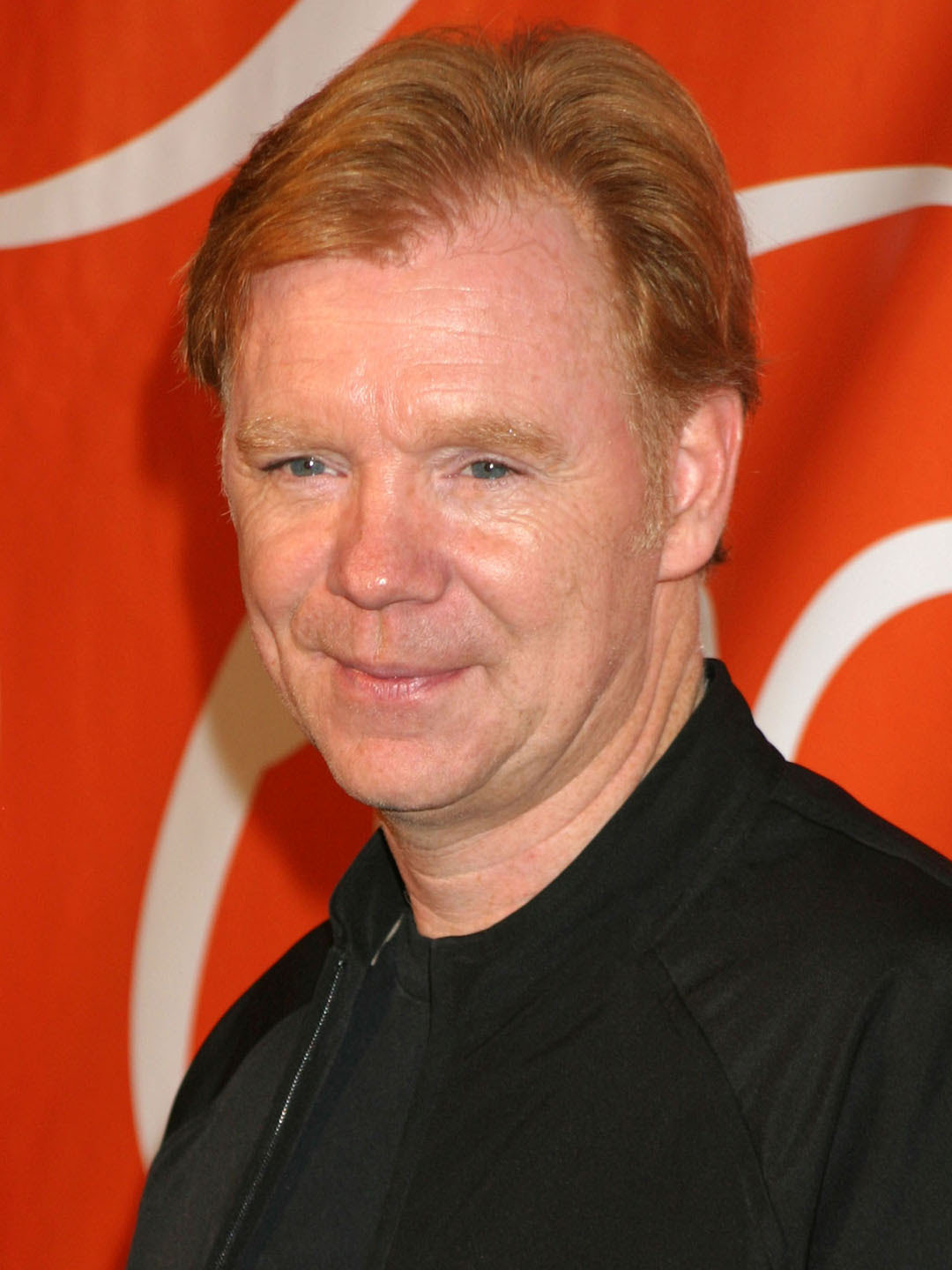 Happy Birthday David Caruso!        