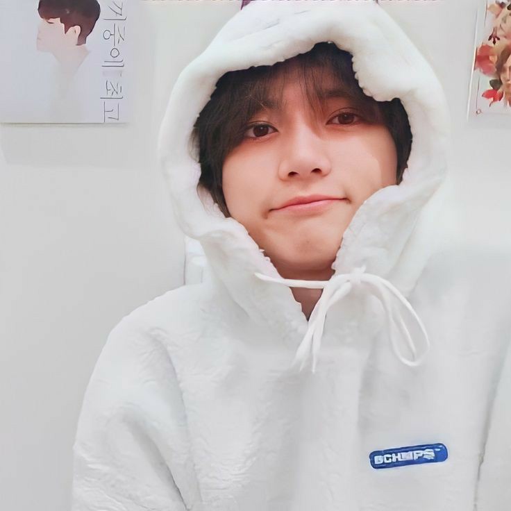 cuddly winter bears 🐻🤎