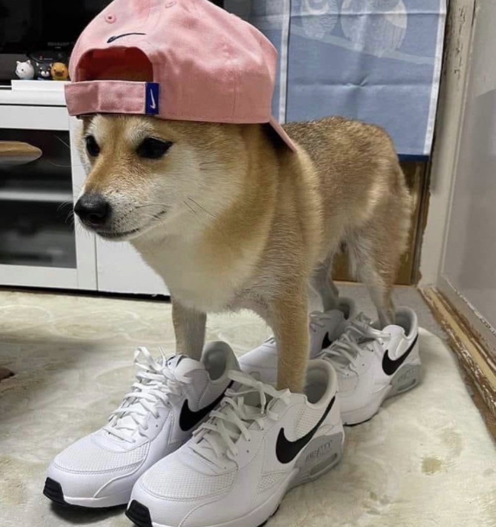 El flow tiene un poco de Firulais.