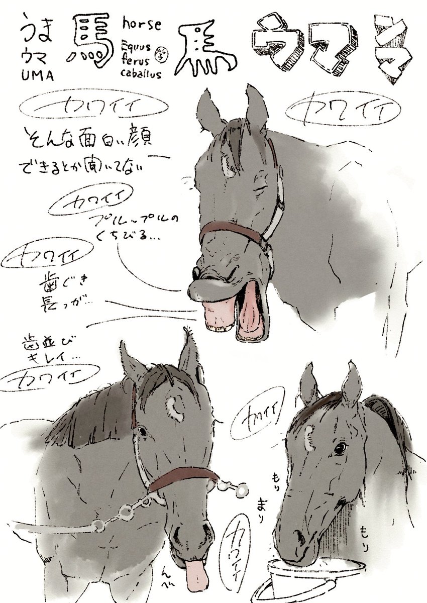 馬、表情豊かすぎてびびる 