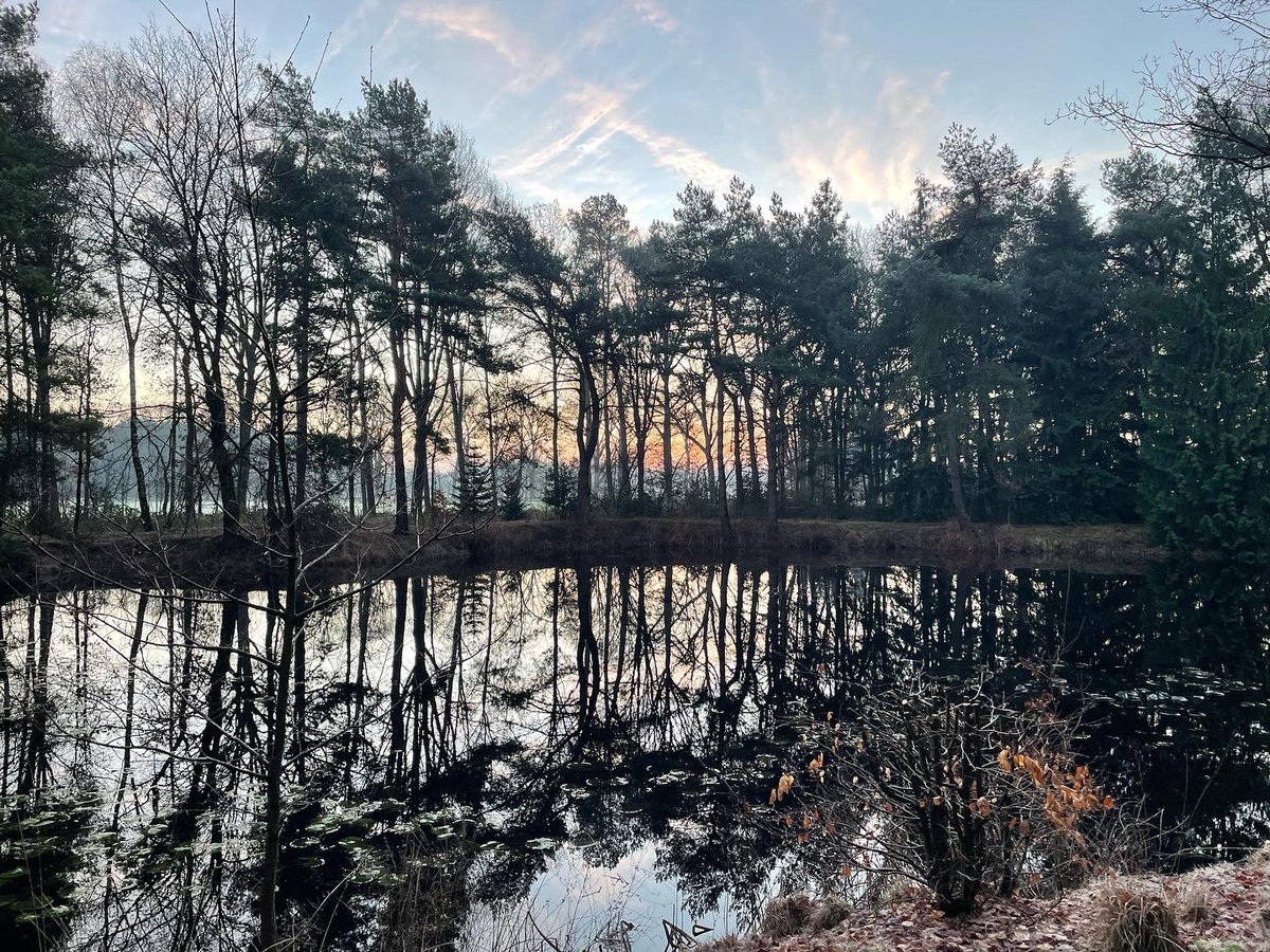 Jiska Howard 🇧🇧🇳🇱 (@jiskahoward) on Twitter photo 