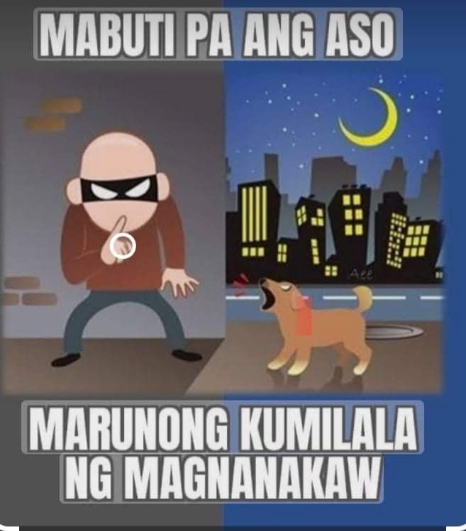 Reposting this haha 
Ctto

#DisqualifyMarcos