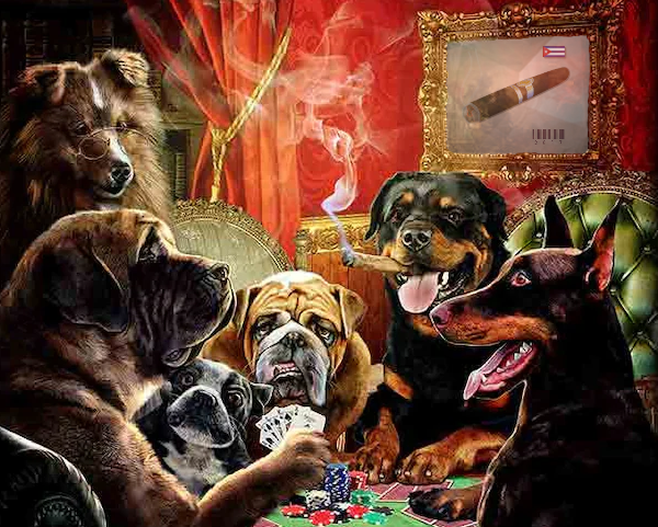 habanosmokeclub's tweet photo. 💥As we evolve, as does our art ⚡️

Can you spot our NFT?

@habanosmokeclub  

#NFTs #NFTdrop #NFTartists #CIGARS https://t.co/uOVsVg6aQ8