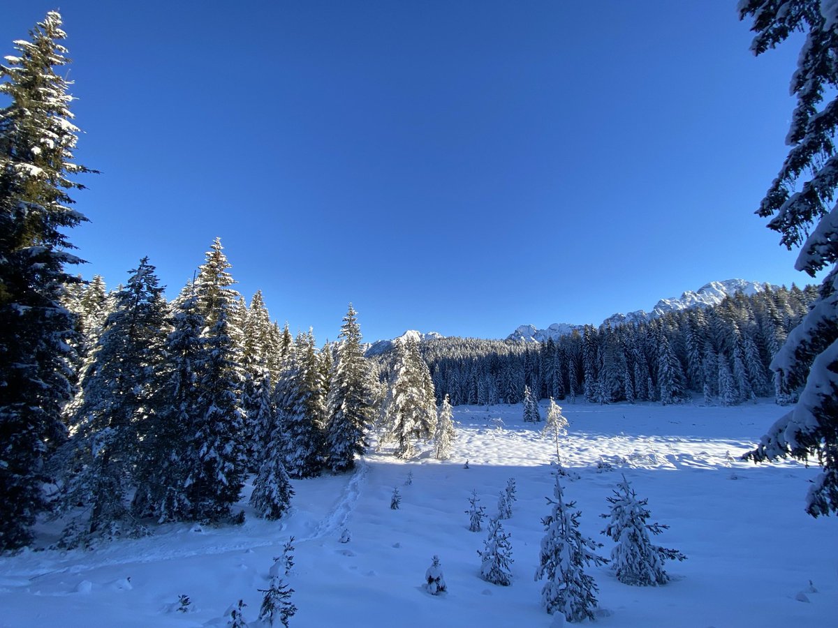 Chiara Mazzarotto tweet media