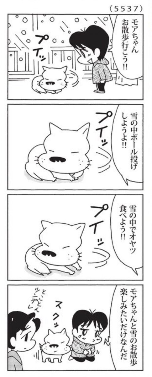 今日の「ウチの場合は」
ツンデレなモアちゃん。
#毎日新聞夕刊 