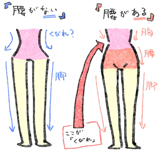 中学生の頃の自分に教えたいくびれと腰の豆知識「くびれ」を描こうとして「腰」がなくなってませんか?安心してください。腰を描けば「くびれ」はできます。1番細いのはヘソの上あたり。アイドルのコスチュームを観察するとこの部分を露出してたりします。(*'∀`*) 