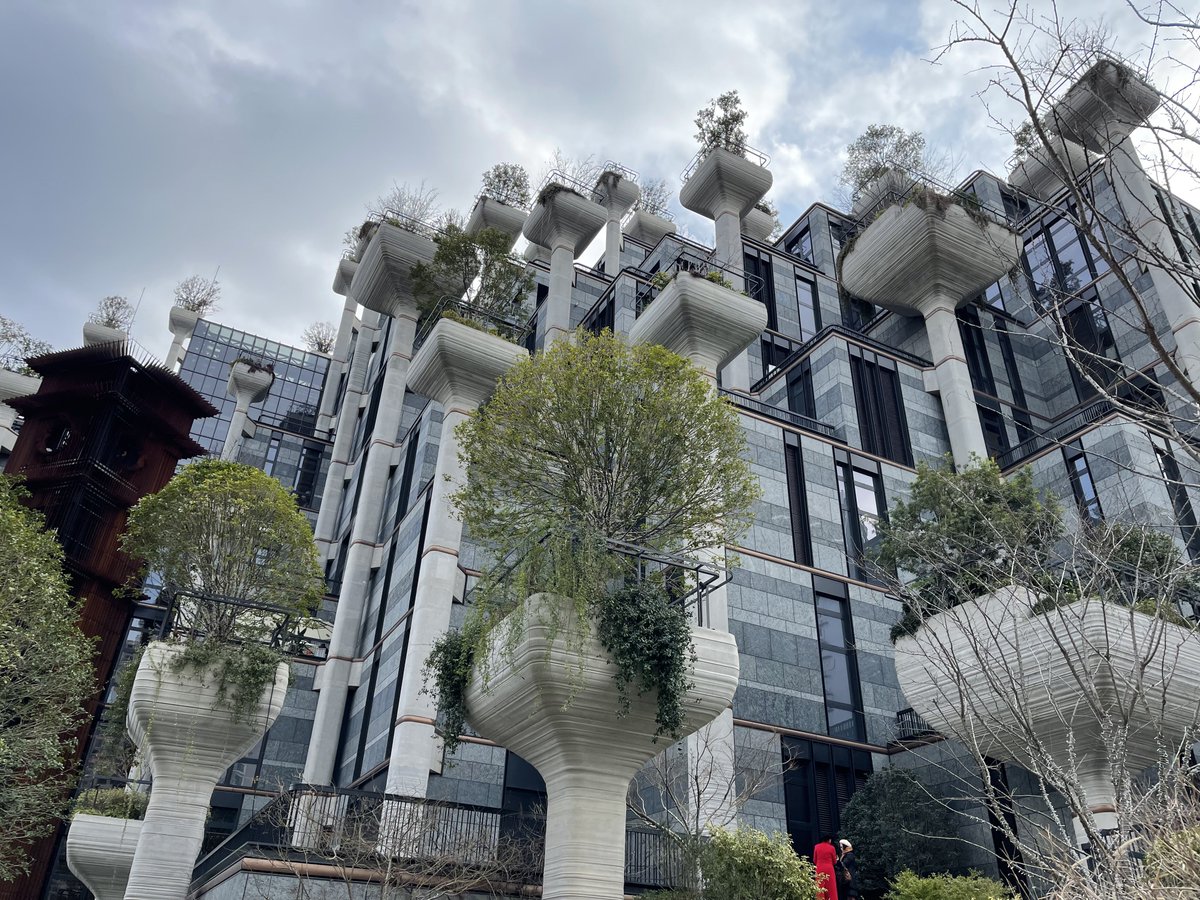 板烧鸡腿堡 tweet media