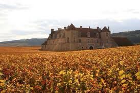HISTOIRE_DU_VIN's tweet photo. Coulisse : depuis le 4 mars 1790 et la création du Département de la Côte d’Or par l’Assemblee Constituante on peut dire que l’originalité et le poids du vignoble sont largement « partie prenante » dans cette dénomination atypique des collectivités départementales françaises. https://t.co/Q49GltNMpv