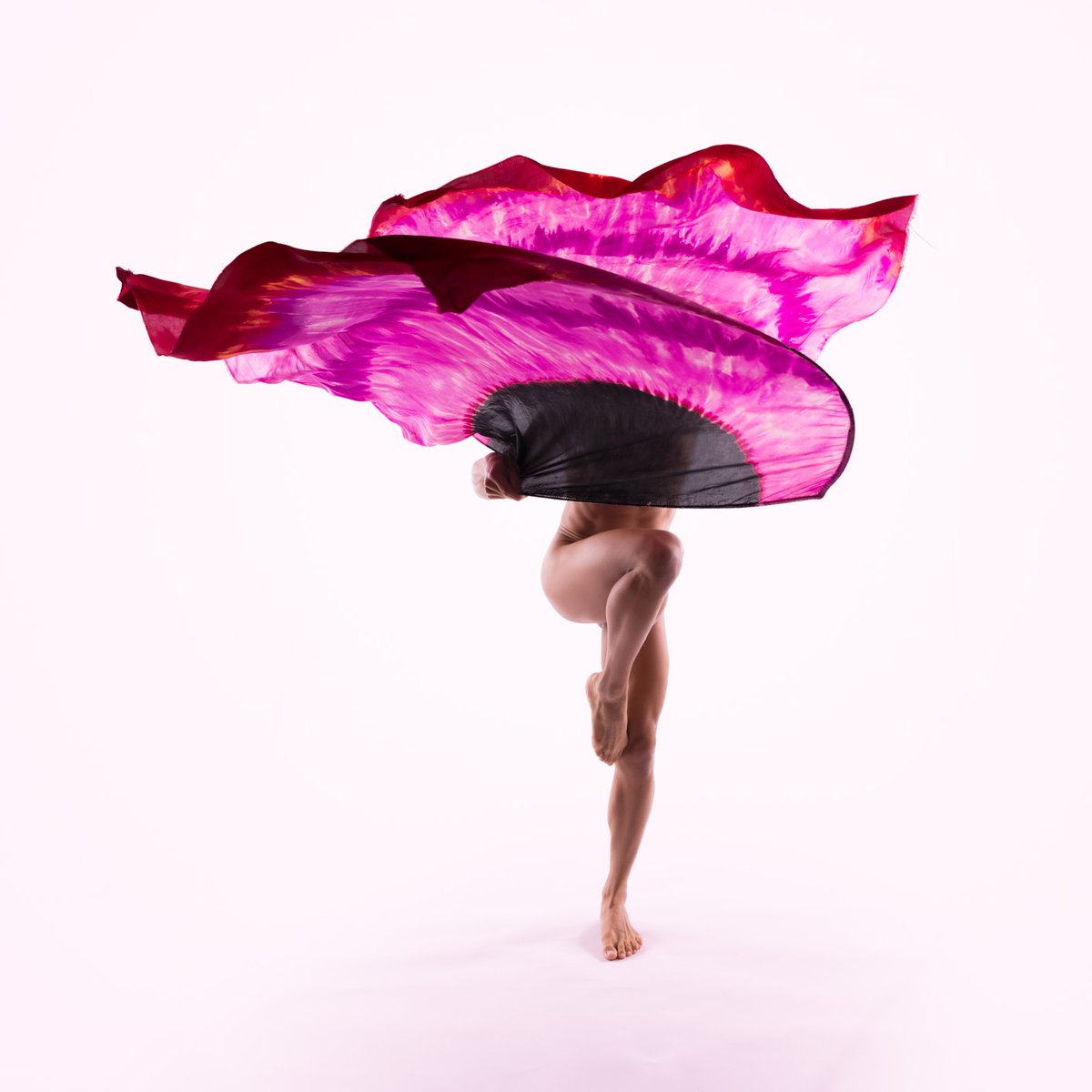 photopherolson's tweet photo. "La Fleur" Featuring https://t.co/PDVL4q8xKi https://t.co/p2KlMhEkT9