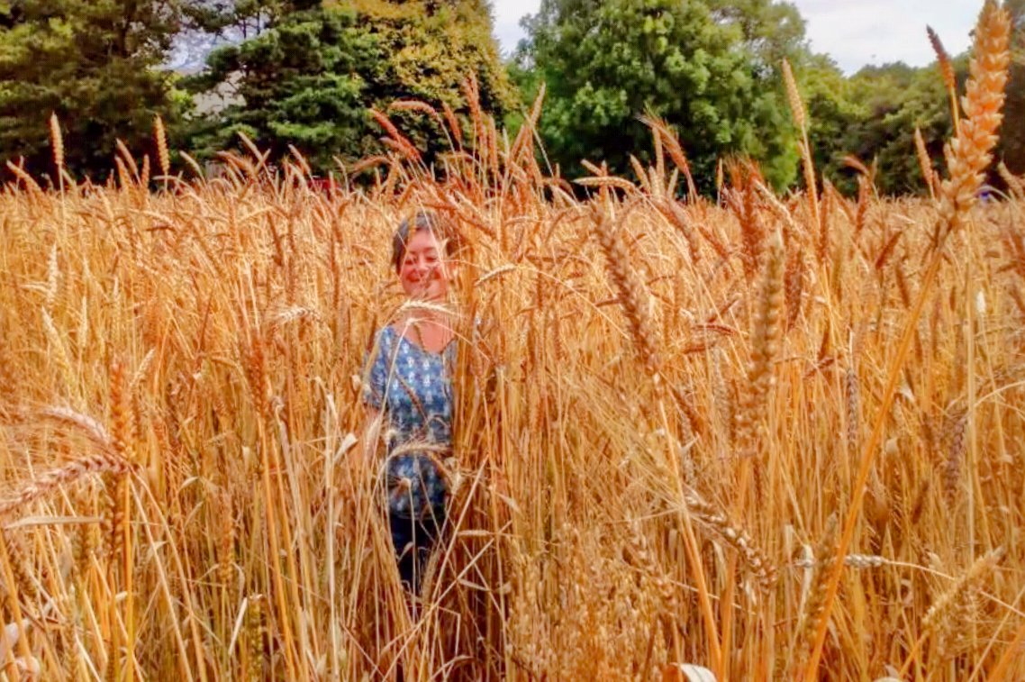 <a href="/hanslope/">John Pawsey 🌞</a> <a href="/ORFC/">ORFC</a> Was a privilege to facilitate this #biodiversity-enhancing #ORFC22 session with inspirational John Letts - Heritage Grain, pioneer Henry Astor - Bruern Farms, and activist academic Marina Chang - <a href="/CoventryCAWR/">CAWR Coventry</a>.
Thanks for skillful support from the <a href="/ORFC/">ORFC</a> team and <a href="/FoodEthicsNews/">Food Ethics Council</a>!