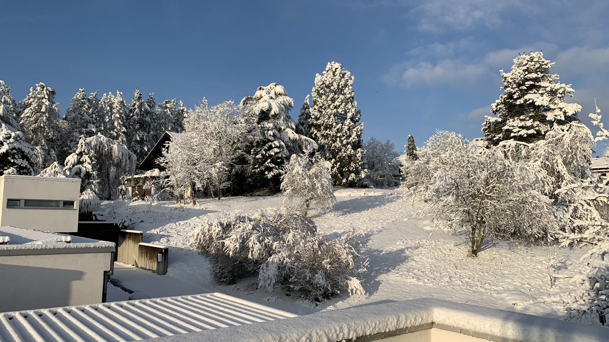 Karsten Bott tweet media