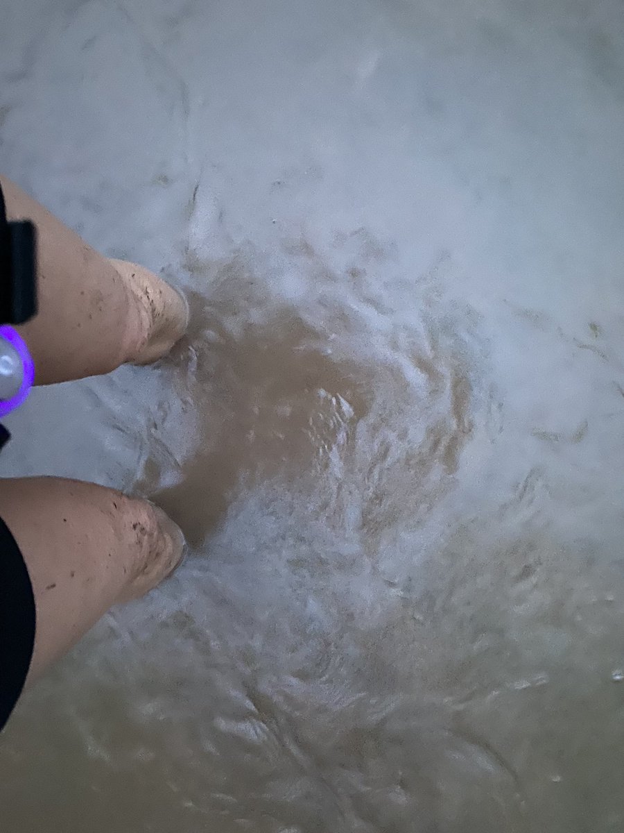 clareoreilly's tweet image. Morning miles with the eejit. Her chat’s not much but her enthusiasm makes up for it… #trailrunning #dogswhorun #pcrtt #plymouthcoastalrunners #running