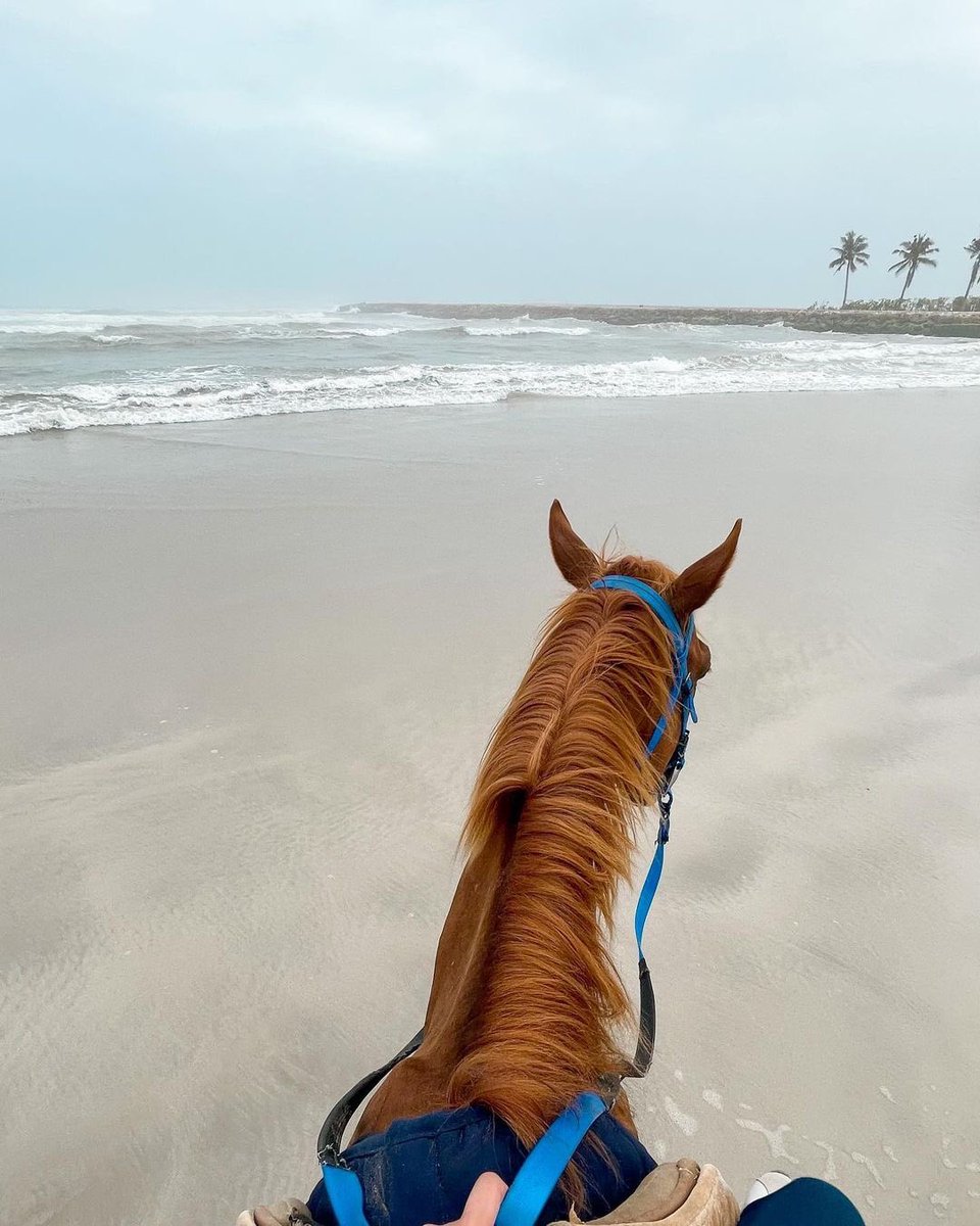 في بحر عينيكِ هامت كُلُّ أشواقي
 يارّبة الحُسنِ، هل تنوينَ إغراقي ؟ 

ما كنت أؤمن بالعيون وفعلها
حتى دهتنى فى الهوى عيناكِ ..
#أشواقي_وعيناك