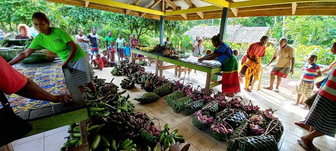 Vegetable seeds and a 2-wheel rotovator for farmers on Motalava Island. Vegetables for HH consumption and sale at the new market house, essential for food and nutrition security in these remote vulnerable communities. #EUVaVaC #FruitandVeges #Motalava #TorbaDARD